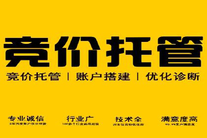 某行业SEM广告投放的创意与执行案例